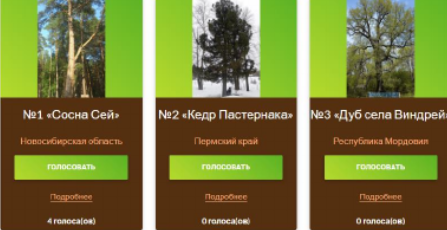 Конкурс «Российское дерево года – 2023» Инструкция по голосованию..